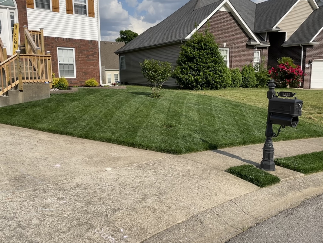 85BB1531-EDFF-4CF5-8422-E5FDCCBF1956