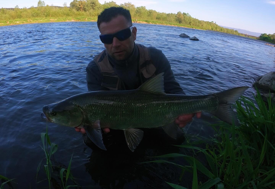 9-DFBE764-D89-C-4195-B02-C-BB7-B51-C6-F9