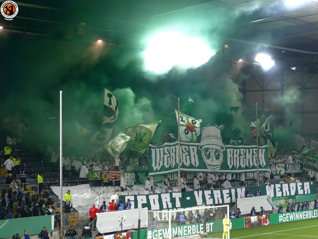 FB_IMG_1740568682982