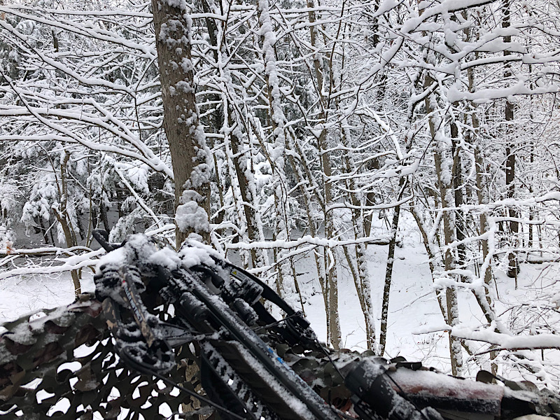 A21D78D6-CA37-4A77-9BAC-58FBD0C09E2B