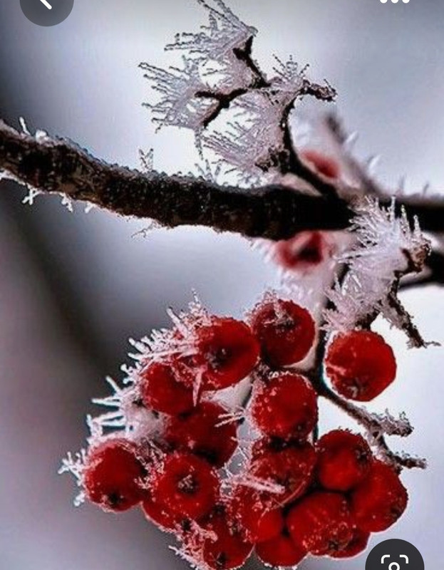 Screenshot_20230522_215131_Pinterest