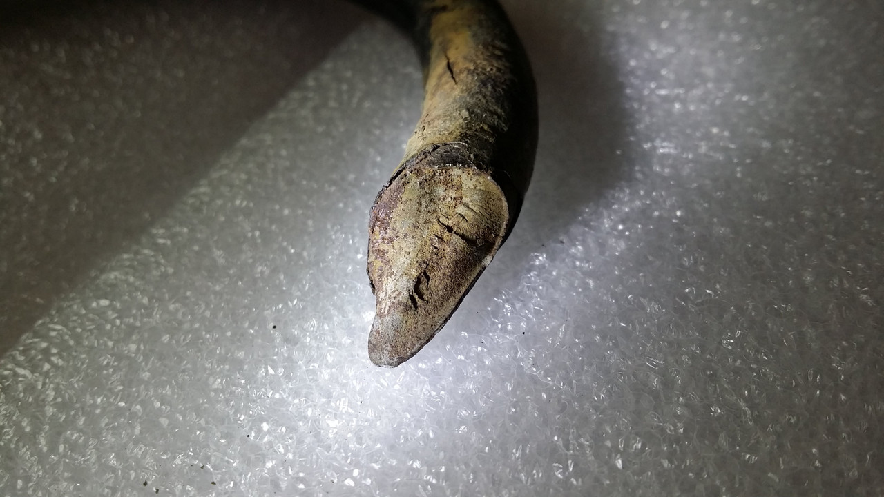 20150524_191510