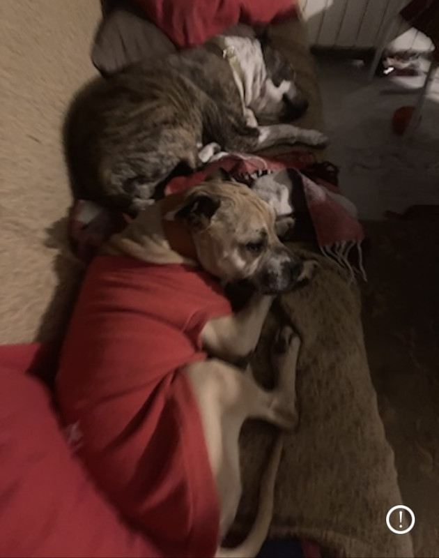 9947D062-5CAF-40BD-8EBE-43C5FDDEE75A