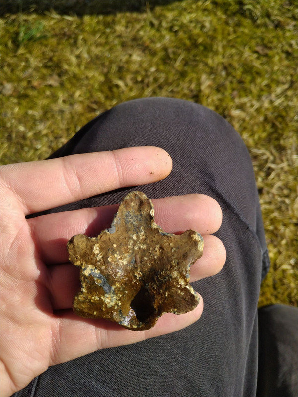 168777630_356225969077233_2783786193048604031_n