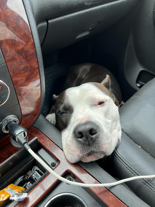 F089B46C-5408-404C-B572-9A79752BF4E8