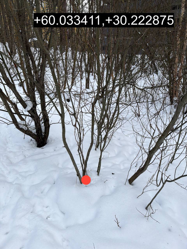 IMG 20260208 205224 182