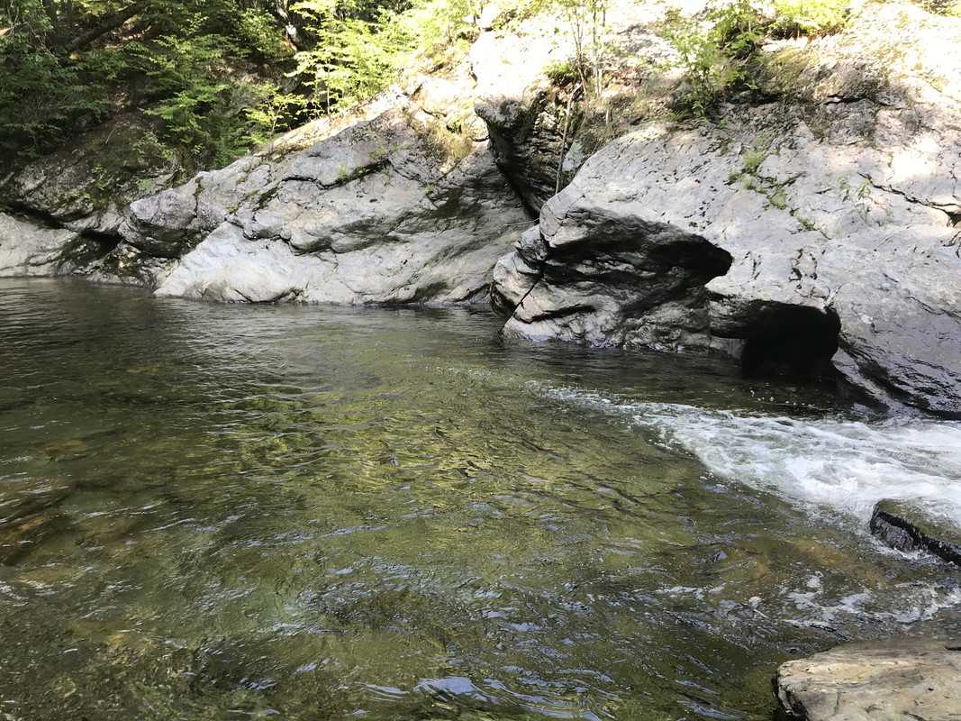 8B56BE12-7207-458B-B540-8F23D3333E39