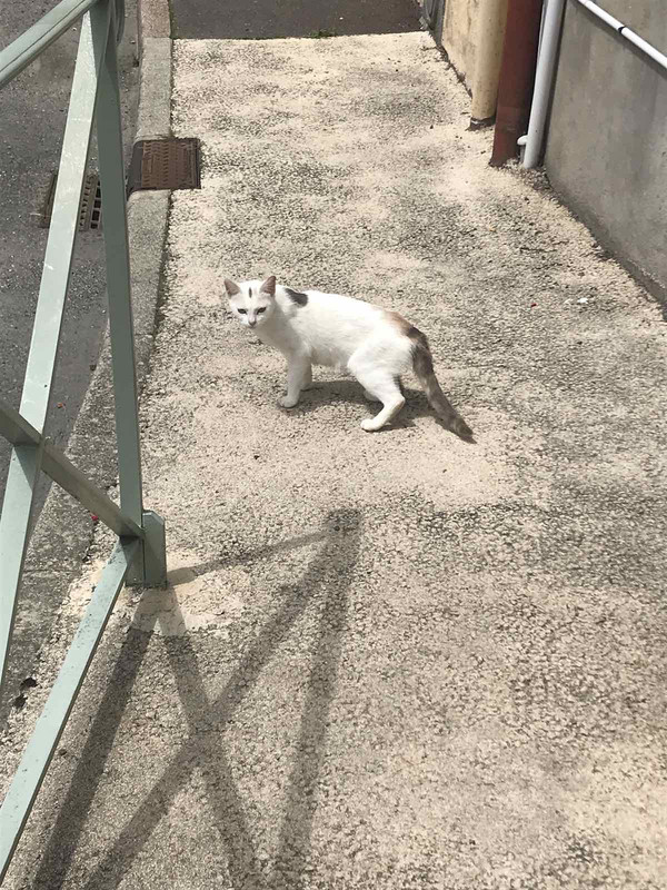 A9CF64E0-6D8B-43DC-9971-AD158ED9B398