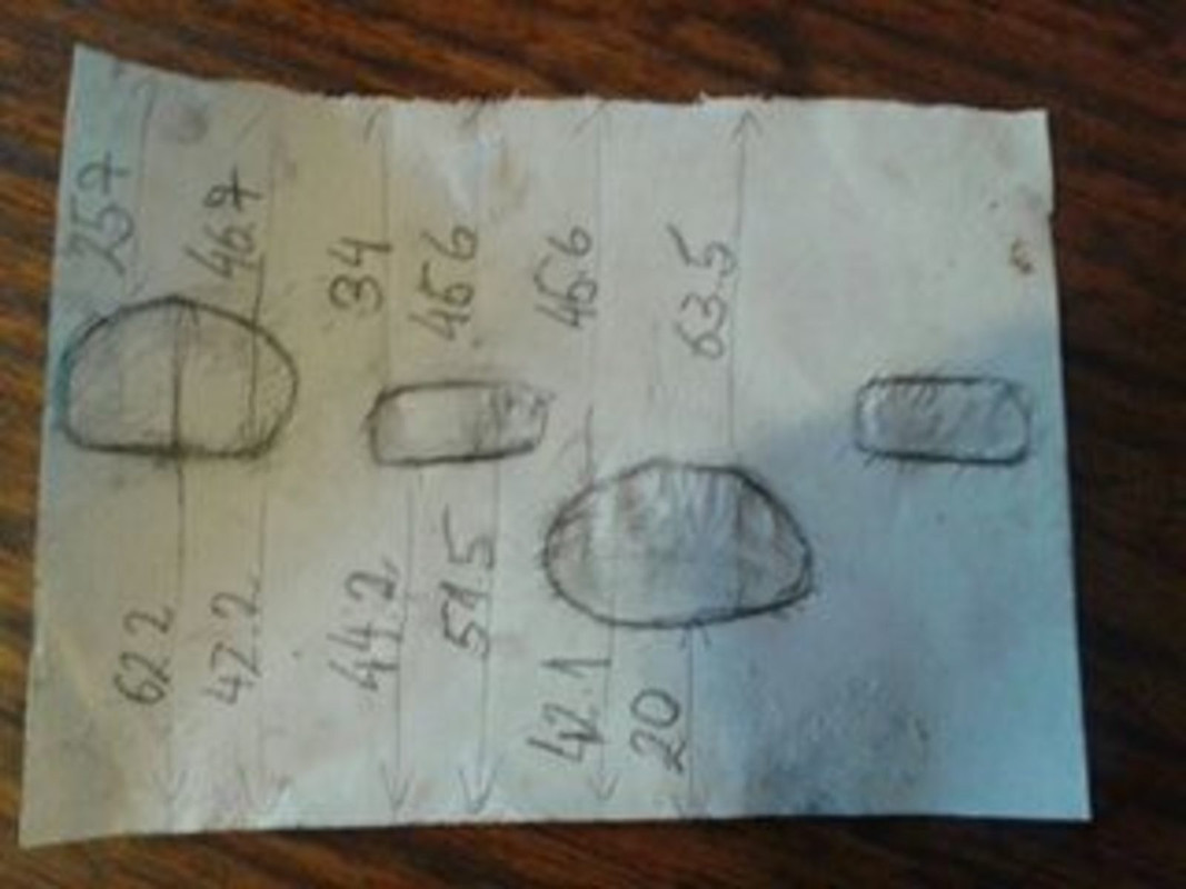 12468124_726140390855708_708440366_n