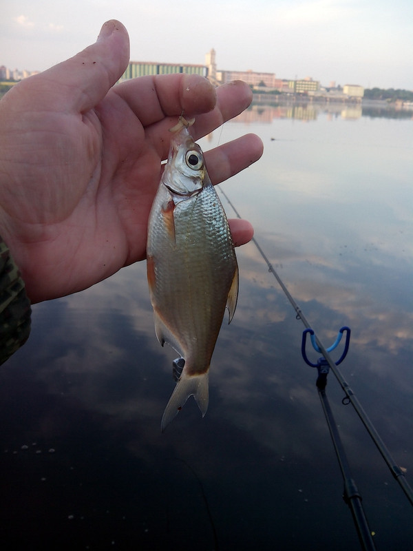 Напротив Мукомолки 02.06.15 03