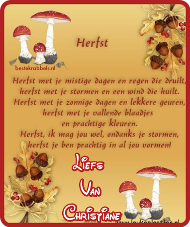 VOOR-OP-DE-BLOGJES-IN-DE-GASTENBOEKEN-31-OKTOBER.png
