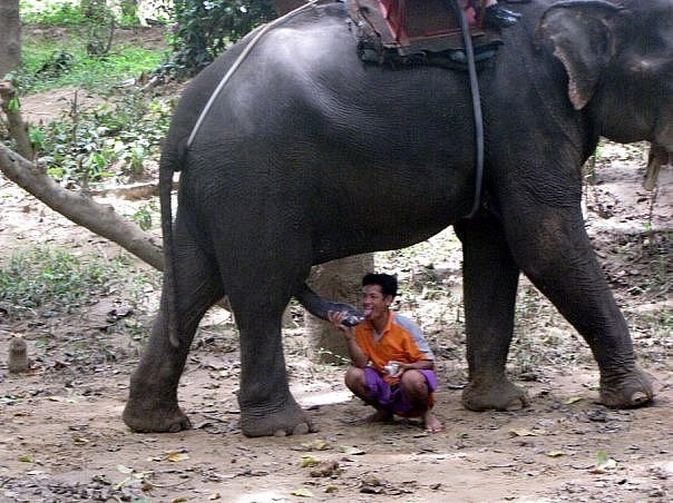 tumblr_oek11dQXWv1uq33nco1_1280