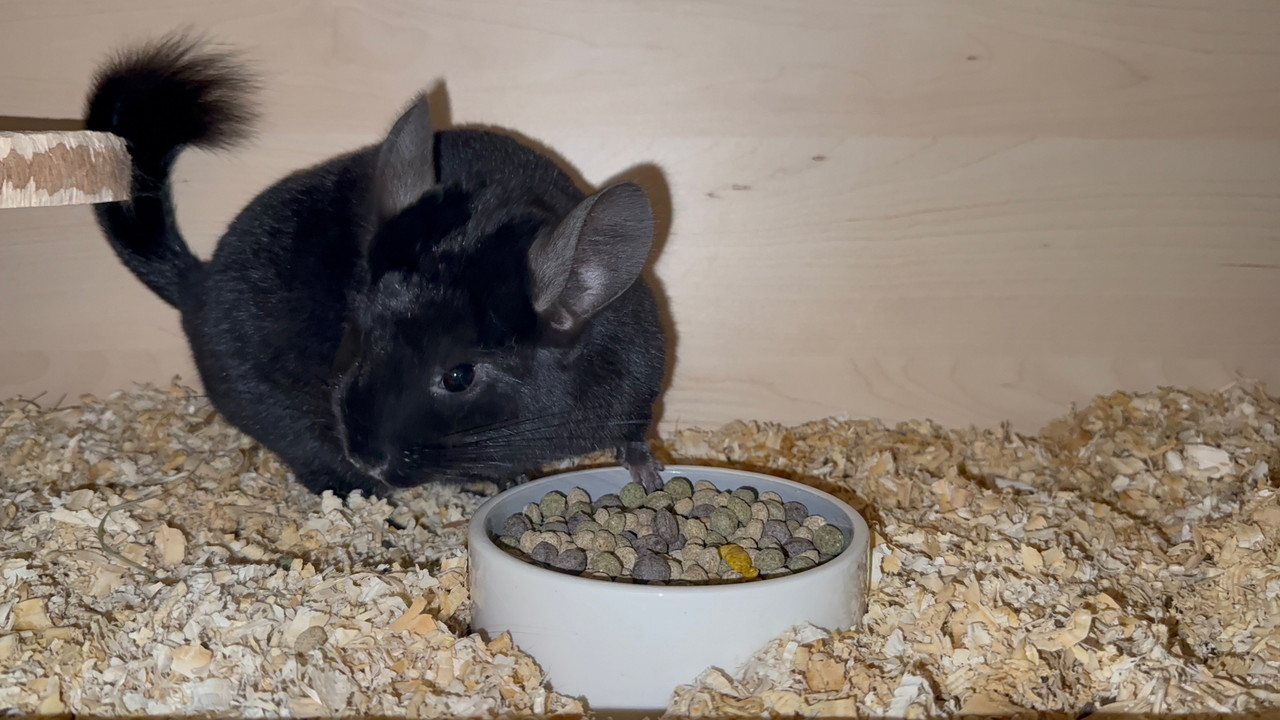 nkydb2Smwc7hGYXH0gsLphOvEnm-uEcVxrY6FRkAZ-b2EmooCJyWi21bZD9m0iBqF0crcFwtgfwitd9z8uHqHneu