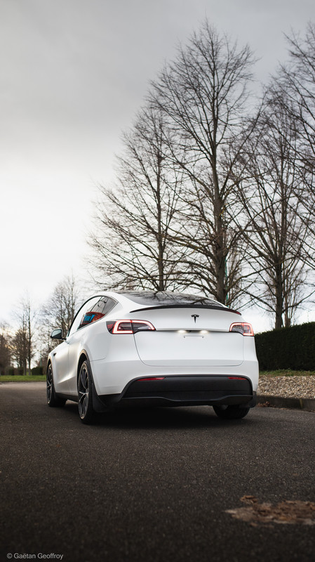 Tesla Model Y  (13)