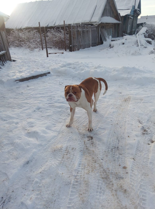 9362F9A8-57D2-44F7-9618-37590242EB5E