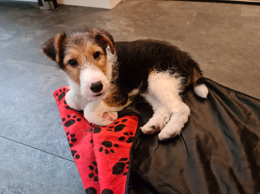 3CE3B8BF-967C-492F-A0C8-F68B92EB4AC1