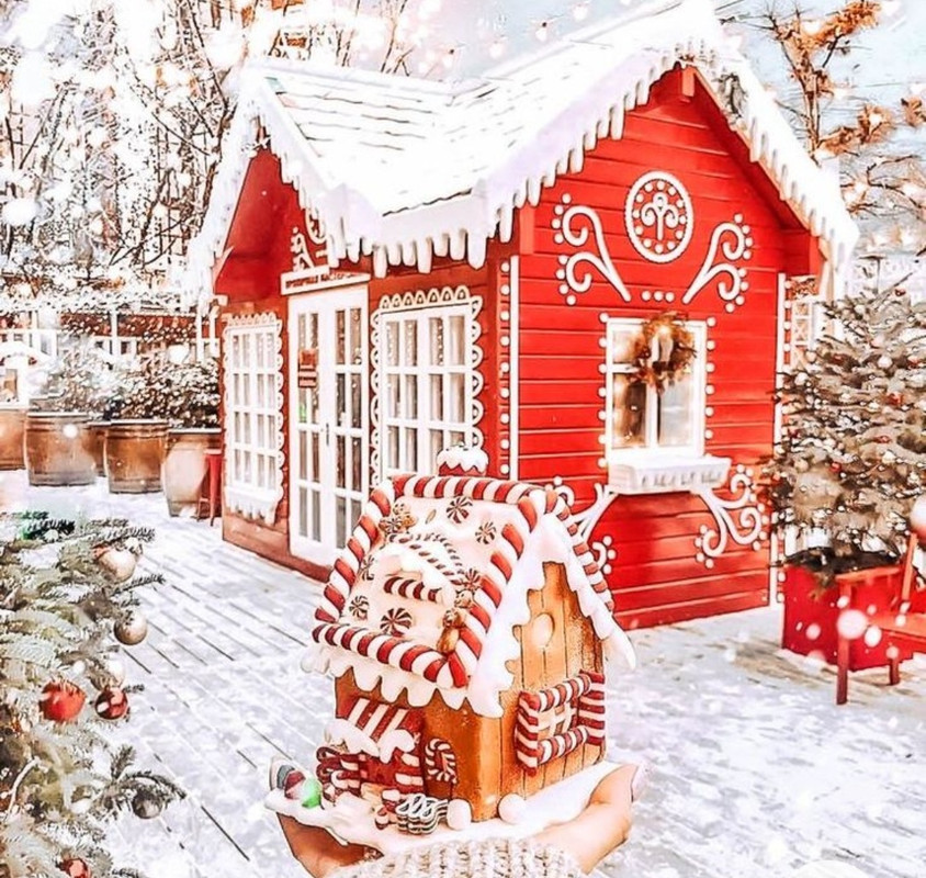 Screenshot_20221203-023455_Chrome