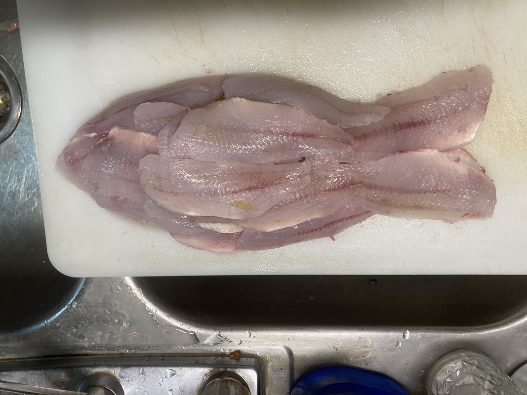 A567EC4D-8645-4042-A3B2-CD1194FA4456