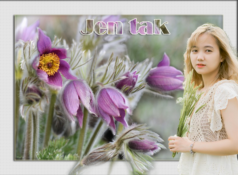 jen-tak.png
