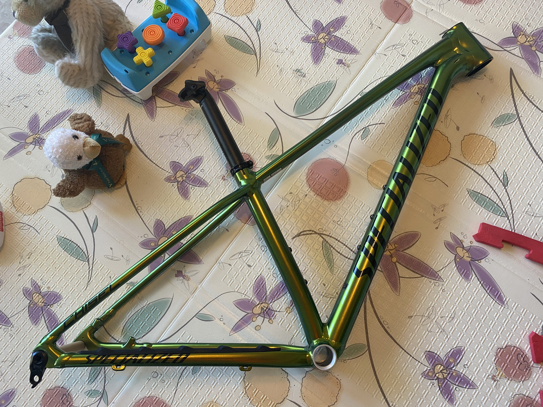 3EE61CBD-953F-46E2-AF63-CCDC9AE29E0D