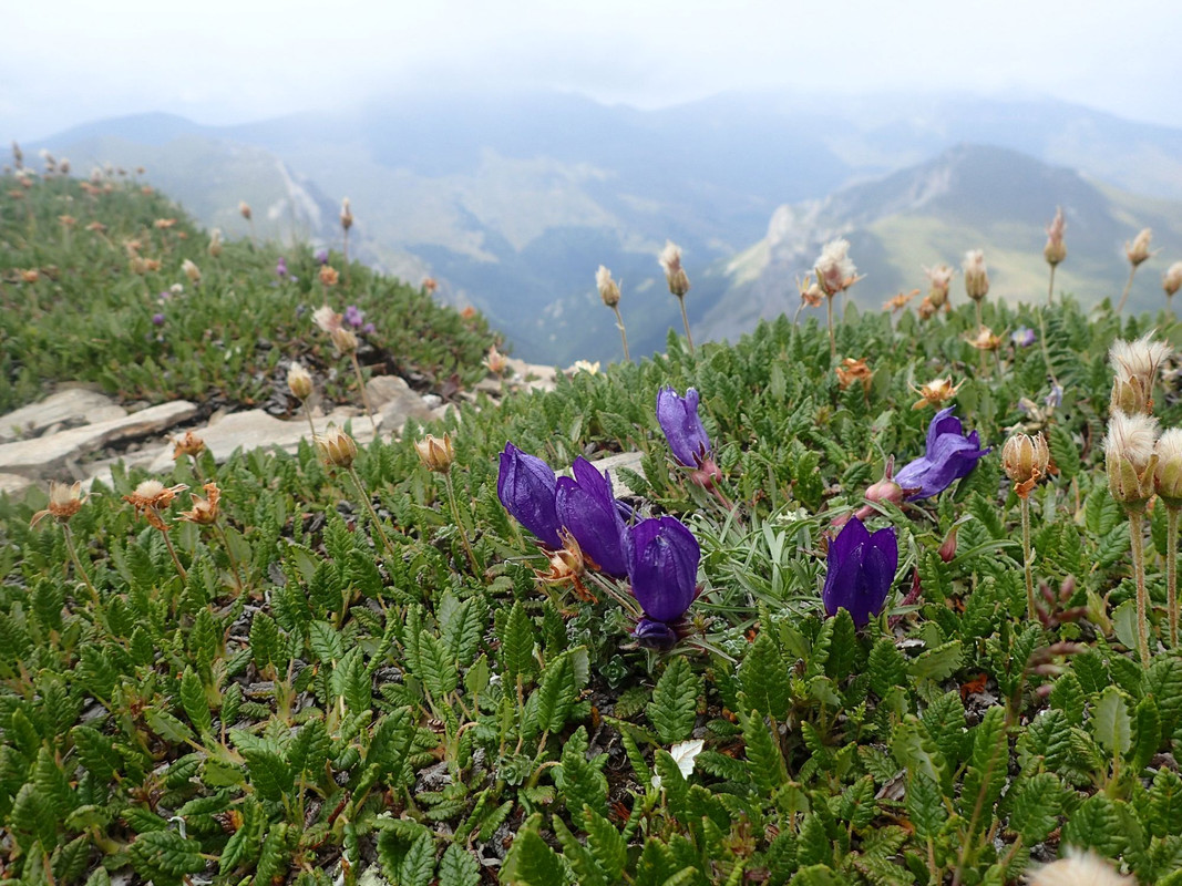2019_0804BAŁKANY0831