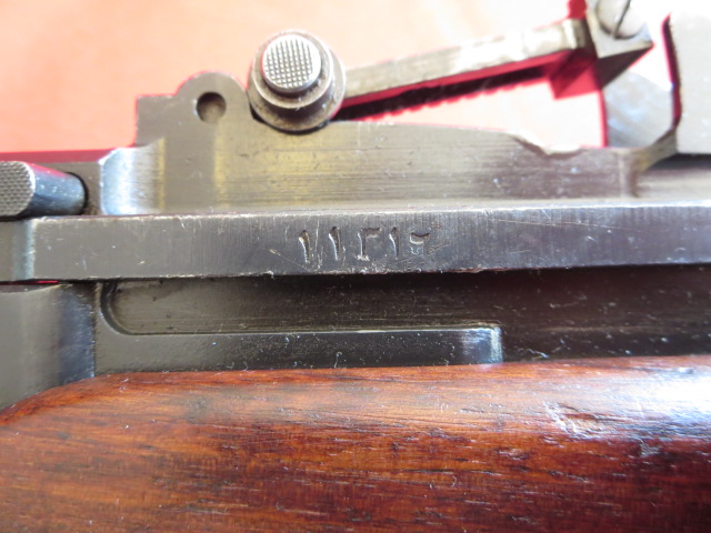 IMG-3544