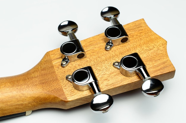 strings for the ukulele