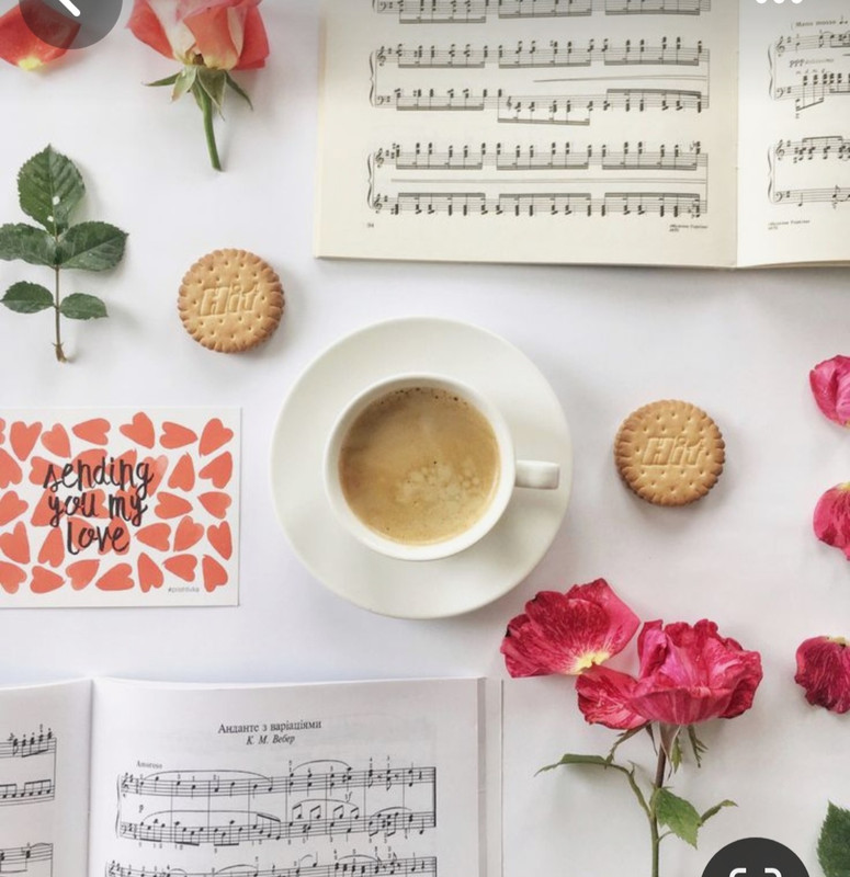 Screenshot_20240502_233104_Pinterest