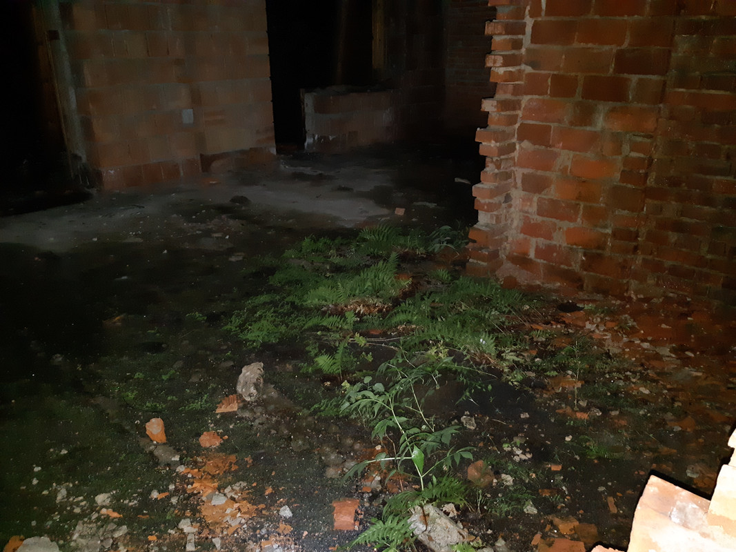 07.08 - 20180601_234202 (PiTT)