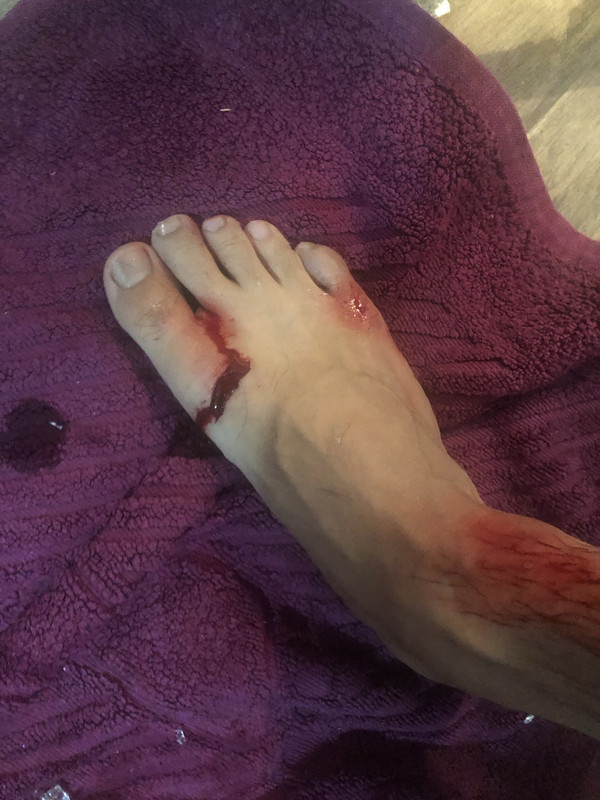 C303C067-BE77-46A2-9892-C0CDF98472D9