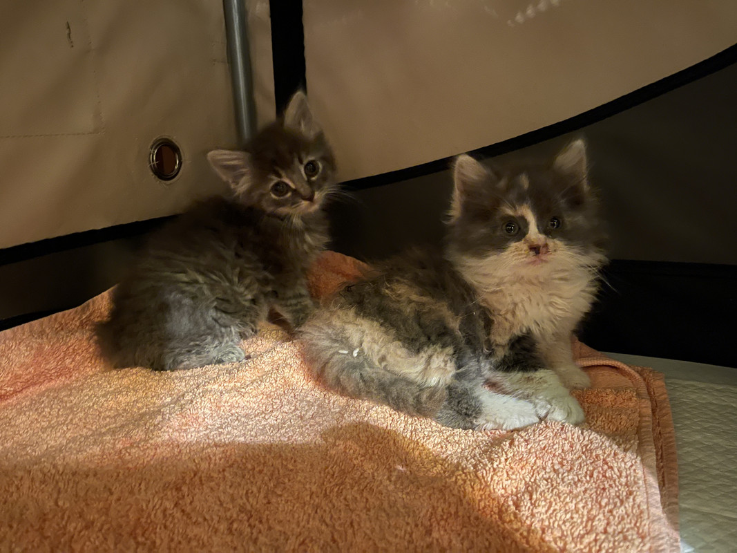 773B394C-9AA7-452D-A680-5C8691A7D4EF