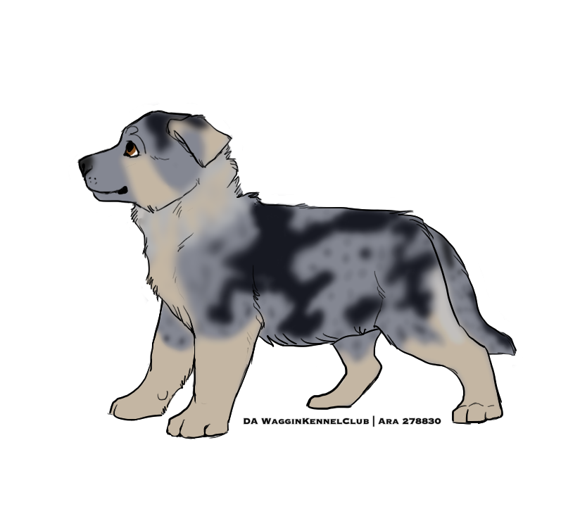 Kimber.png