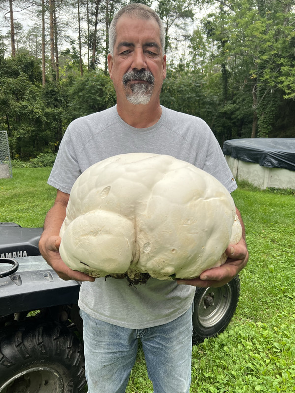 FF263061-99E0-4BF6-8A72-8445224B7143