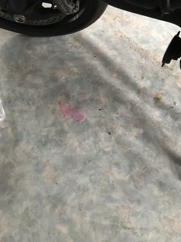 449EBB77-9B73-41B3-8C4C-E4172F3F5000