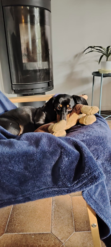 [Image: image0000041.jpg]