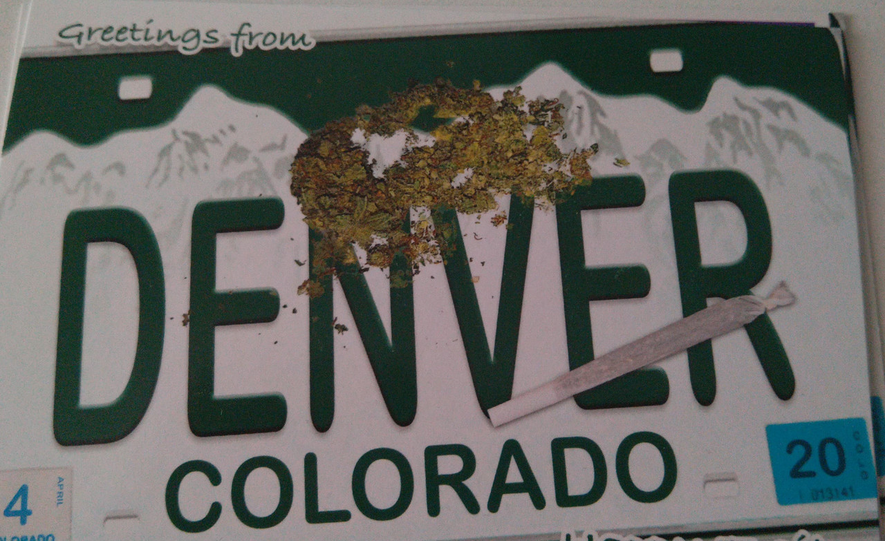 IMG-20231017-WA0011(3)