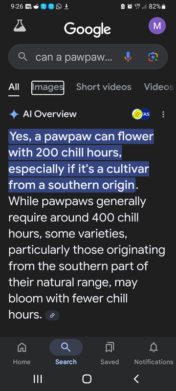 Screenshot_20250131-092634_Google