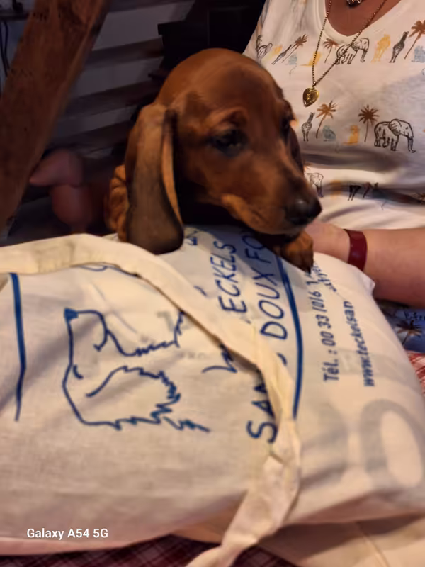 [Image: 20241006-185658.avif]