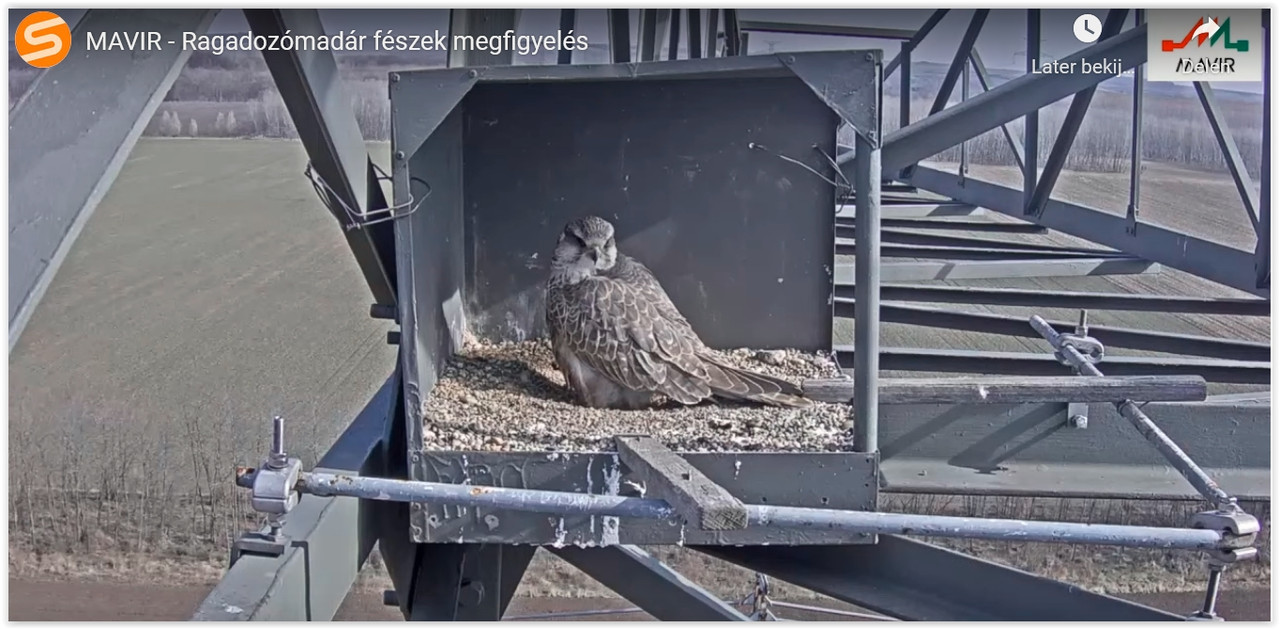 Screen Shot 03-13-22 at 09.37 AM