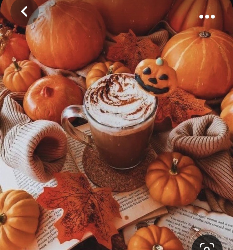 Screenshot_20231015_210500_Pinterest