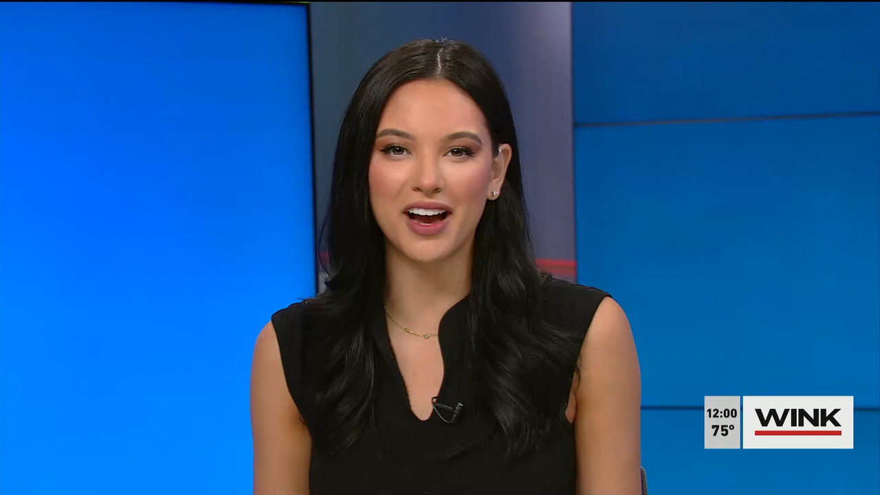 01.09 - 17.00.00 - The WINK Noon News  ᴺᵉʷ. Midday news update..ts_snapshot_06.55.336