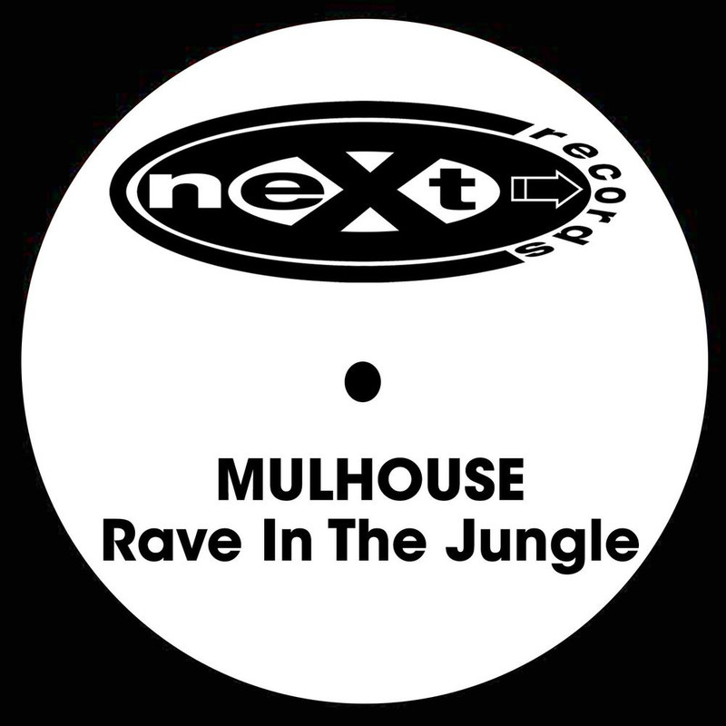 00-mulhouse-rave_in_the_jungle-(nt_056_95)-web-1995-(cover)-idf
