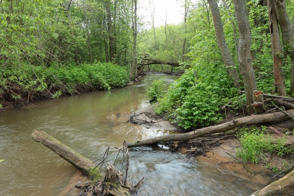 IMG_5574 (600 x 400)