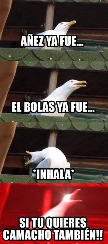 WhatsApp Image 2021-05-27 at 13.07.58 (2)