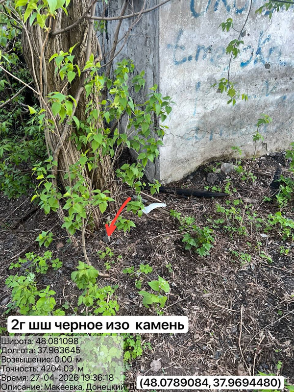 photo 23 2026 04 27 19 31 12