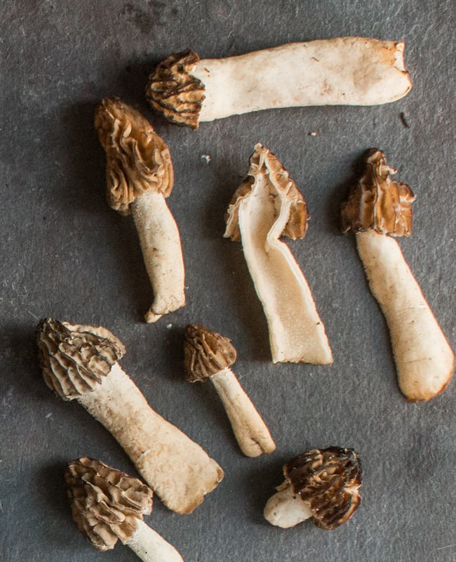 half free morels 7