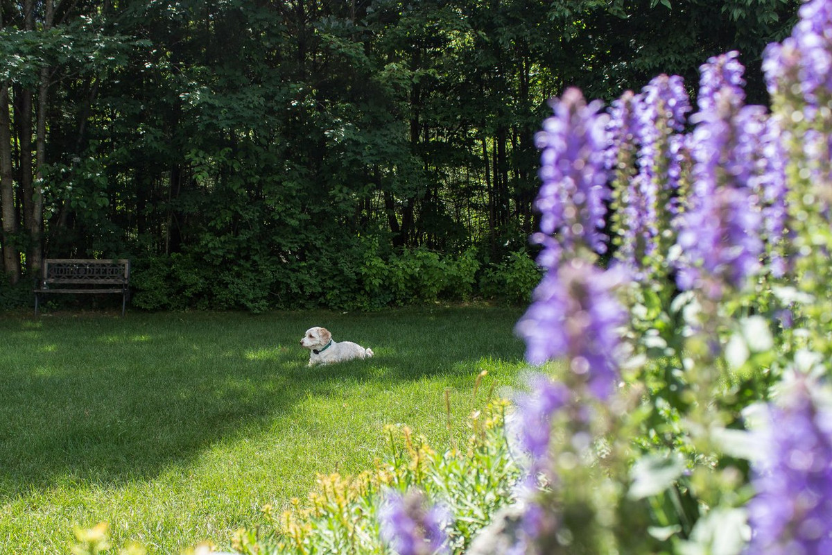 Жарко Июнь-4