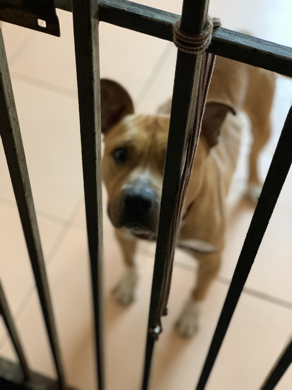 ED5E814C-4E3C-4FB9-B77E-431D73672956