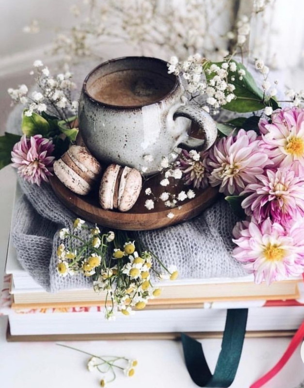 Screenshot_20230211_134640_Chrome