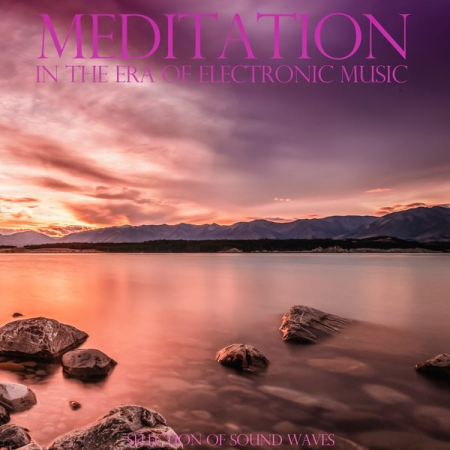 VA - Meditation in the Era of Electronic Music (Selection of Sound Waves) (2021)
